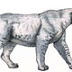 Reconstruction of Homotherium latidens.